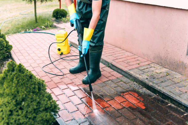 Best Solar Panel Cleaning  in Thompsonville, PA